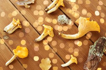 nature, environment and edible mushrooms concept - chanterelles on wooden background