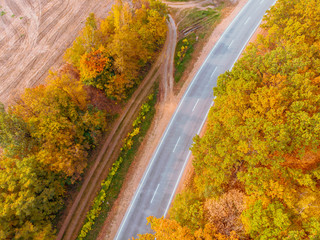 Naklejka premium aerial view of autumn highway in forest