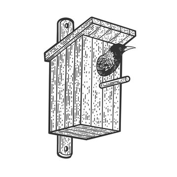 recommend clip art: starling bird in the birdhouse sketch engraving vector illustration. T-shirt apparel print design. Scratch board imitation. Black and white hand drawn image.