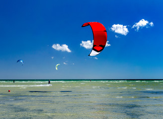 People engaged in kitesurfing on a summer day in a sea