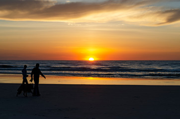 Fototapeta na wymiar Jacksonville Beach Sunrise Dog Walk