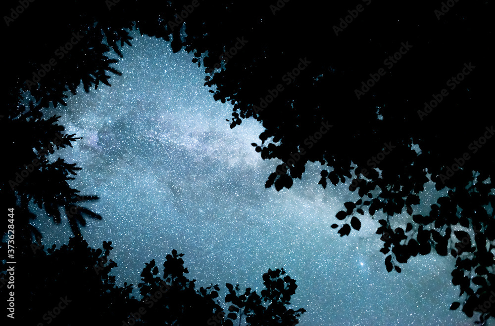 Wall mural starry sky. milky way galaxy. this long exposure astronomical photograph taken in the middle of the 