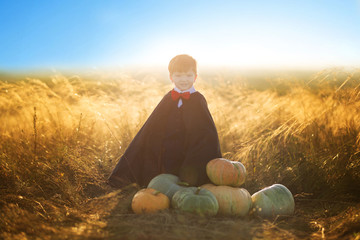 Happy child boy dressed as dracula with pumpkins on sunset. Happy halloween.