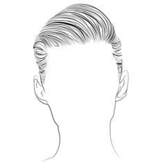 Elegant short hairstyle, outline vector illustration - 373631278
