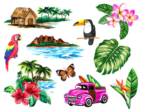 Hand-painted tropical island elements