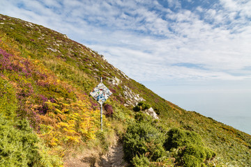 Footpath to the sea