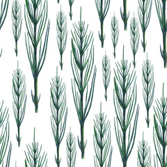 Green horsetail plant seamless pattern. Herbal Equisetum arvense on white background. Watercolor hand drawing illustration. Perfect for wallpaper, digital paper, medical design.