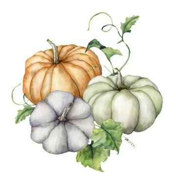 Watercolor pumpkins and leaves composition. Hand painted blue, green and orange gourds isolated on white background. Autumn harvest festival. Botanical illustration for design, print or background.