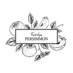 Hand drawn vintage persimmon chips design. Vector illustration in sketch style.
