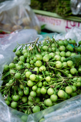 Thai eggplant for sale at a street market in Bangkok