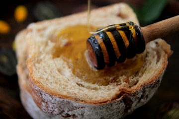 honey and bee