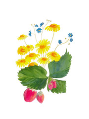 Summer bouquet with flowers and strawberries isolated on white background. Watercolor hand drawn illustration of little blue flowers and yellow. Perfect for card, print, poster, banner.