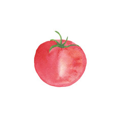 One red tomato isolated on white background. Watercolor hand drawing illustration of ripe and tasty vegetable. Perfect for healthy food menu, cover.