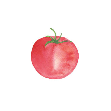 One red tomato isolated on white background. Watercolor hand drawing illustration of ripe and tasty vegetable. Perfect for healthy food menu, cover.