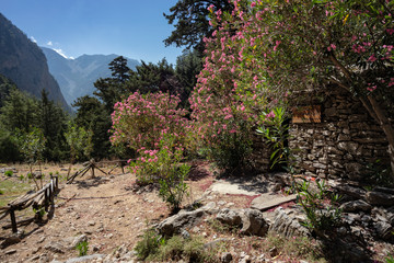 Trekking in Samaria Gorge on the island of Crete, Greece.
