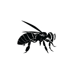 Bee Logo Template Design Vector