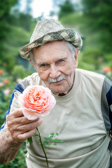 Portrait of a handsome elderly man of 87 years old, growing roses in his garden. Gardening and...