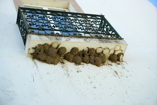 Low angle shot of many broken swallow nests under a balcony