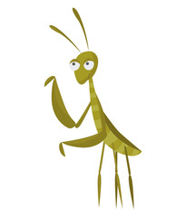 Funny cartoon insect isolated on white. Vector mantis character. Happy animal. Colorful hand drawn illustration. Flat colorful bug
