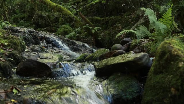 stream in the sil canyon, natural reserve and world heritage site in the ribeira sacra, ourense, galicia, spain
