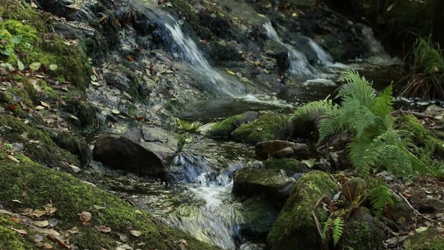 stream in the sil canyon, natural reserve and world heritage site in the ribeira sacra, ourense, galicia, spain
