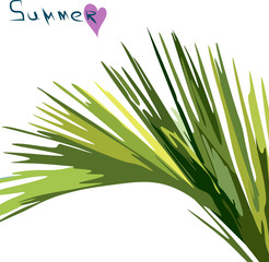 Palm branch background on white