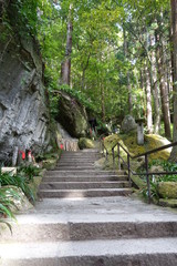 山寺への石段