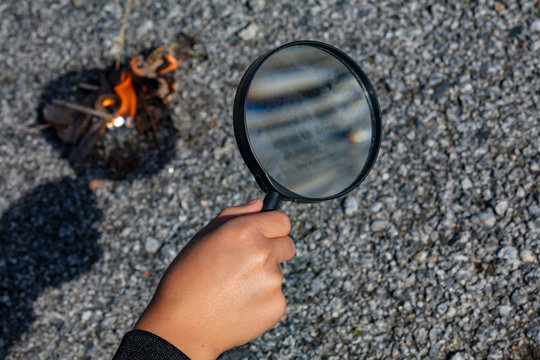 A young person burns tree leaves with a magnifying glass.
