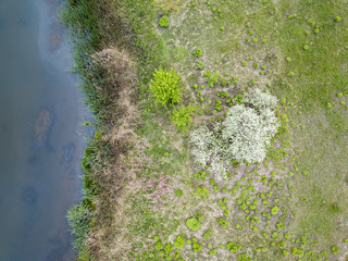 Aerial drone view. Country lake in Ukraine.