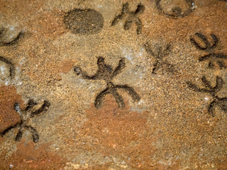 nuragic stone age old petroglyphs runic writings inside Sea Oxen Grottoes Sardinia