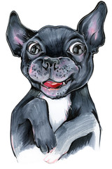 llustration drawing markers pencils animal dog puppy french bulldog black cute funny kids postcard print