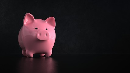 Pink Piggy Bank