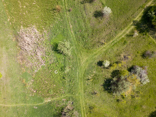 Aerial drone view. Green meadow in spring.