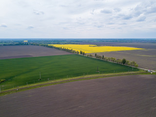Aerial view. Ukrainian agricultural fields in spring.