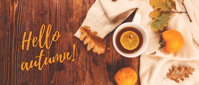 Banner autumn leaves and fruits and berries on a white background, hello autumn, layout for design with place for text.