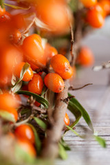 Close up berries of sea-buckthorn at wooden background