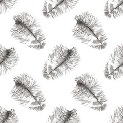 Hand drawn seamless pattern with owl feathers isolated on white background. Stock illustration of forest gifts.
