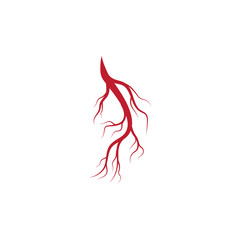 Human veins and arteries illustration design