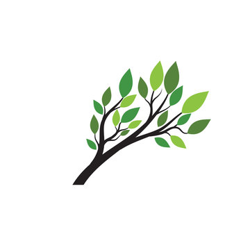 Tree Logo template vector icon