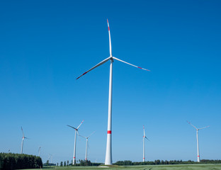 Windpark im Sommer mit blauen Himmel