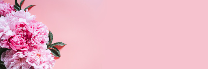 peonies bouquet flowers in full bloom vibrant pink color isolated on pale pink background. flat lay, top view, space for text. banner © Ksenia