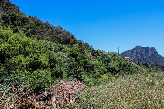 Grandes monta&ntilde;as rocas  de arboles y plantas verdes con un cielo azul y nubles blancas 