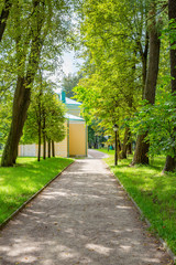 A path for pedestrians to walk in a modern green city park in the summer daytime