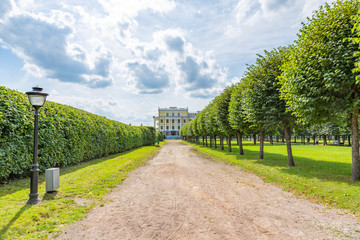 Obraz premium A path for pedestrians to walk in a modern green city park in the summer daytime