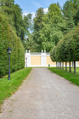 A path for pedestrians to walk in a modern green city park in the summer daytime