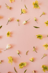 Round frame wreath with blank copy space made of roses and yellow hellebore flowers on pink background. Flat lay, top view floral festive holiday concept