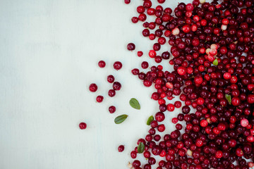 berries of a cranberry on a white background