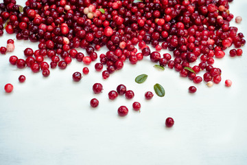berries of a cranberry on a white background