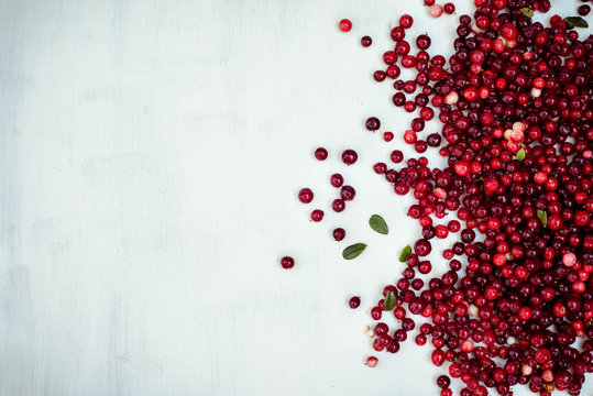 berries of a cranberry on a white background