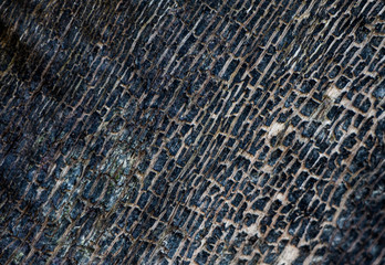 blue leather texture